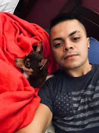 Tribute to loyal chihuahua companion