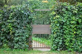 Dabei kann sie sogar einen starken wind nicht bewegen, da sie schwer und deshalb stabil sind. Lebender Sichtschutz Schone Ideen Tipps Und Tricks