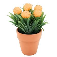 Check spelling or type a new query. Suppliers Of Chinese Cheap Artificial Plants Plastic Plant Artificial Potted Grass Artificial Flower In Ceramic Pot Indoor Or Outdoor Company