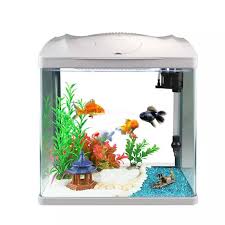 Some also sell fish and additional types of marine however, you should be able to find all the basics here. Cheap Desktop Mini Grass Aquariums Ecological Fish Tank Led Aquarium Goldfish Bowl Aquatic Pet Supplies With Mute Pump Aquariums Tanks Aliexpress