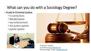 Maybe you would like to learn more about one of these? What Can You Do With A Sociology Degree Ppt Download
