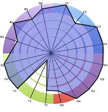 With helena ignez, jorge loredo, maria gladys, luiz gonzaga. 4 Grafico De Teia De Aranha Sobre O Desempenho De Aplicacao De Download Scientific Diagram