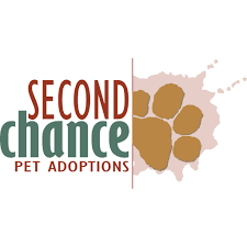 Little kitty is 11 years old. Second Chance Pet Adoptions Reviews Facebook