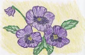Purple weed stock photos and images. Purple Pansies Flowers Drawings Pictures Drawings Ideas For Kids Easy And Simple