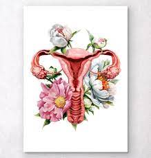Pin On Saude Da Mulher