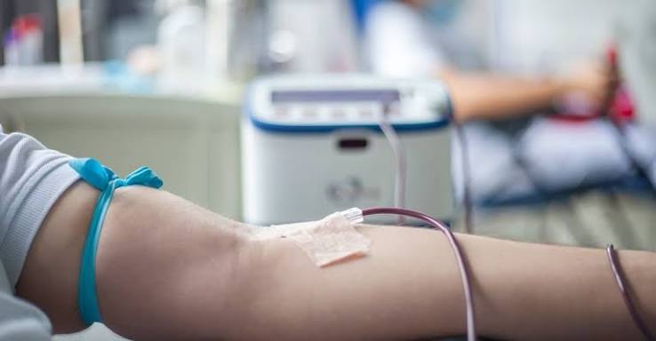 Bancos de sangue do DF fecham em Finados: doe até 31/10