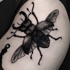 An Incredible Depictions Of A Stag Beetle By Ilja Hummel Ig Iljahummel Black Illustrative Iljahummel Stagbeetle Beetle Tattoo Bug Tattoo Insect Tattoo Some species grow to over 12 centimetres (4 1⁄2 inches), but most to about 5 cm (2 in). beetle tattoo bug tattoo insect tattoo