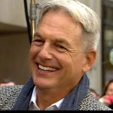 Mark Harmon's Son, Ty Christian Harmon Biography: Age, Net Worth,  Instagram, Spouse, Height, Wiki,.