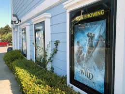 This site does not store any files on its server. Coronavirus Pandemic Closes Tiburon Playhouse For Good Marin Independent Journal