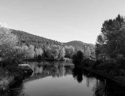 When facing the loss of a beloved pet, it is often a time of overwhelming emotion. Private Pet Cremation Local Pet Cremation Seattle Area Compassion 4 Paws