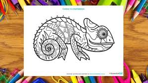 We did not find results for: Chameleon Colouring Page Coloring Pages Chameleon Color Colouring Pages
