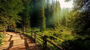 Everett Hilliard Obituary