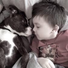 Loving and grateful for my daughter's dog