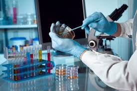 Resultado de imagem para dia da ciÃªncia