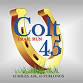Colt 45 Trail Run event in Lakeland, FL
