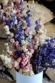Dried flowers and grasses such as pampas grass, bunny tails, and preserved eucalyptus are enjoyed throughout the year. Dried Larkspur Flower Bunches Dried Flowers Table Confetti Etsy Larkspur Flower Dried Flower Arrangements Dried Flowers