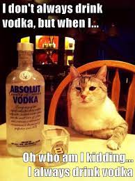 Lolcats Vodka Lol At Funny Cat Memes Funny Cat Pictures With Words On Them Lol Cat Memes Funny Cats Funny Cat Pictures With Words On