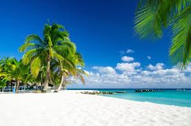 The 50 Most Beautiful White Sand Beaches in the World