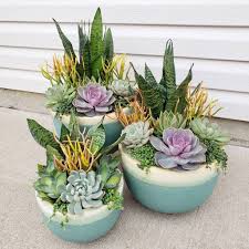 24 Beautiful Spring Outdoor Arrangement Ideas For Front Porch Decoarchi Com Succulent Garden Design Container Garden Succulents Succulents