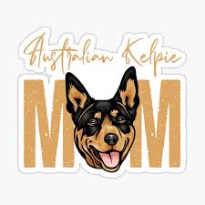 Please sign this form, instructs the blonde woman at the reception of horseback winery tours. Slim Dog Gifts Merchandise Redbubble