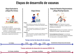 La vacuna será la que esté disponible en ese momento. Instituto De Salud Publica De Chile
