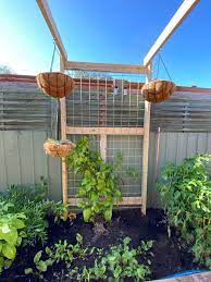 We did not find results for: Built A Trellis For My Passion Fruit To Climb Gardening