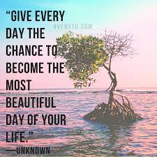 Pin On Quotes