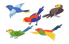 Plus, it's an easy way to celebrate each season or special holidays. 40 Birds Coloring Pages Printable