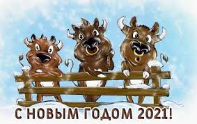 We did not find results for: Luchshie Prikolnye Pozdravleniya S Novym Godom 2021 V Stihah V Proze I Kartinkah