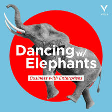 Channel Sales 101: Omri Kohl, CEO Pyramid Analytics by Dancing With  Elephants