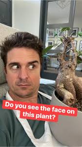 Does she resemble a family member?