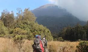 13 Aturan New Normal Naik Gunung Semeru Okezone Tren