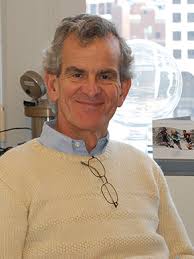 Obituary for David Thorley-Lawson