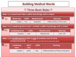 Chapter 1 Basic Elements Of A Medical Word
