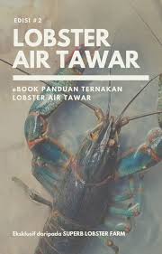 1,381 likes · 1 talking about this · 2,705 were here. Ebook Panduan Ternakan Lobster Air Tawar Ver 2 Updated Flip Ebook Pages 1 50 Anyflip Anyflip