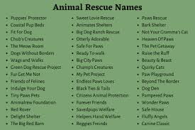 We are in the beautiful, scenic coeur d'alene area. Animal Shelter Names 700 Catchy Animal Rescue Names