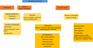 Download links and password may be in the description section, read description carefully! Https Peerj Com Articles 11165 Pdf