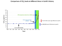 Last Time Carbon Dioxide Levels Were This High 15 Million