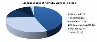 We did not find results for: What If The Philippines Has Four Official Languages Filipino English Spanish And Mandarin What Would You Say About It Quora