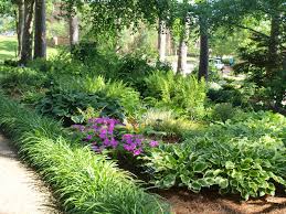 Shop perennials for shade & more. Gardens