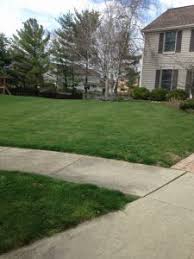 Looking for the lawn care or maintenance services near you? Lawn Care Services In Columbus Lawn Doctor Of Columbus