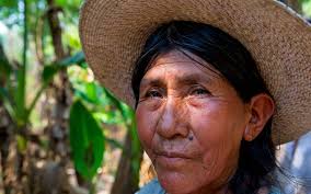 Burger King Linked to a Whopping Million-Plus Acres of Deforestation