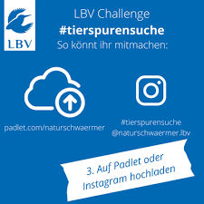 Hier ein paar tipps zum tierspuren finden. Wie Uberwintert Eigentlich Die Natur Lbv Naturschwarmer