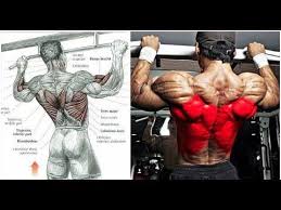 new video by مهووس عضلات كمال الاجسام on youtube تمرين ظهر تضخيم لتعريض وتضخيم الظهركامل بالصور تمرين ظهر كامل للحصول على fictional characters character john