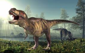 Image result for T-Rex