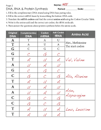 Protein Synthesis Worksheet Exercises Key 2 Png Biologia Ciencia Educacion