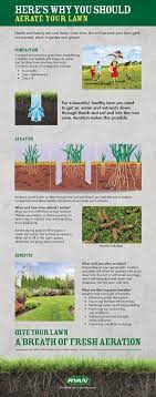 Why You Should Aerate Your Lawn Ryan Lawn Care Lawn Care Business Organic Lawn