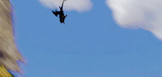 How To Train Your Dragon Gift Of The Night Fury Google Drive Https Encrypted Tbn0 Gstatic Com Images Q Tbn 3aand9gcskubfeduoxndzicisnnqhqjvdqzucxwf7mdq Usqp Cau