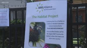 2501 johnson ave, san angelo, 76904. Flutterby Festival On Elmwood Showcases Eco Friendly Buffalo Myfoxzone Com