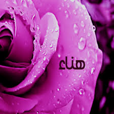 صور اسم هناء رمزيات بلاك بيري بإسم هناء رمزيات واتس اب اسم هناء صور اسم هناء بدون حقوق منتديات هـمـس الـلــيـالـي عالم من التميز Ice Cream Icing Cream